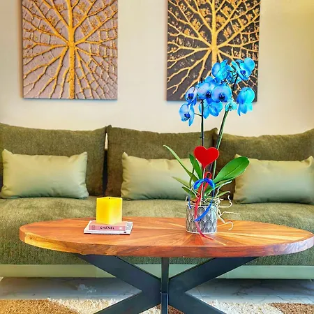 Psimithefto Luxury Apartament *